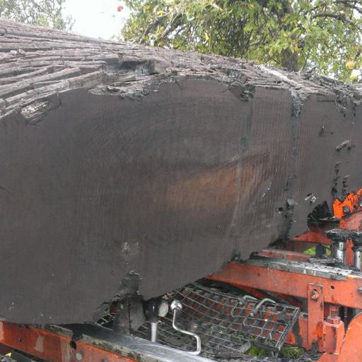 Mooreichenstamm aufsägen