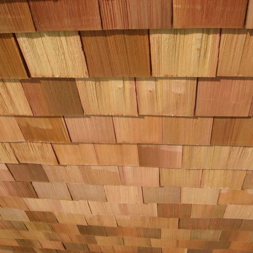 Red-Zedar Verschindelung Schwerin